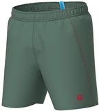 Arena Heren Fundamentals Zwemshort Groen