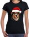 Bellatio Decorations Kerst T-shirt voor dames - Berner Senne hond - met kerstmuts - zwart - Kerstfeest XS