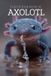 The Picture Book of Axolotl