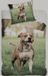 Pitbull Dekbedovertrek Coton Multicolor Animal 140 x 200 cm