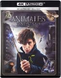 Magic Box Fantastic Beasts and Where to Find Them [Blu-Ray 4K]+[Blu-Ray]
