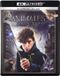 Magic Box Fantastic Beasts and Where to Find Them [Blu-Ray 4K]+[Blu-Ray]