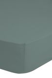 Muller Textiles 0200.45.47 Hoeslaken 90 x 220 cm Groen Katoen Jersey
