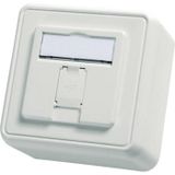 Telegärtner 100021381 Boîtier réseau en saillie (sur mur) Sans connecteurs 1 port Blanc alpin
