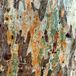 Trails Robbie Belchamber - Trails