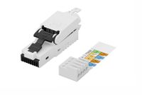Digitus Adaptateur réseau RJ45 CAT 6A