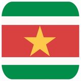 Bellatio Decorations Bierviltjes Suriname - 30 stuks - vierkant - landen thema - 9x9 cm