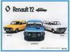 Metalen Renault Metaal Bord 15x20