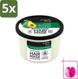 Organic Shop 5 x Masque capillaire Avocat & Miel - Hydratant et Souple - 250 ml