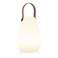 Smartwares OOO-50002 LED Tafellamp - Oplaadbaar - RGB - Warm wit - IP44