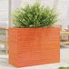 Maison Exclusive - Pot de fleurs pour jardin, brun foncé, 90x40x68,5 cm, bois de pin massif