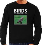 Bellatio Decorations Shoppartners Bv Dieren foto sweater Velduil - zwart - heren - birds of the world - cadeau trui uilen liefhebber XL