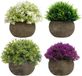 Unyqoos Kleurrijke Set van 4 Realistische Miniatuur Planten