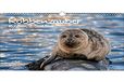 Robbenzauber A3-kalender voor zeehonden en zeeleeuwen in 2023 Seelenzauber