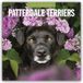 Patterdale Browntrout Verlags GmbH Patterdale Terriers 2027 - 16-Monatskalender