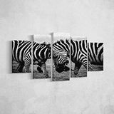 Homemania Zebra-5 dieren, voor woonkamer, meerkleurig, 100 x 3 x 60 cm, HM205PKNV-262, polyester, hout