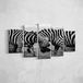 Homemania Zebra-5 dieren, voor woonkamer, meerkleurig, 100 x 3 x 60 cm, HM205PKNV-262, polyester, hout
