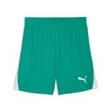 PUMA heren Gebreide Shorts Teamliga26 Shorts