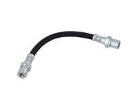 Delphi Remslang LH2813