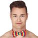 Fiestas Guirca vlinderstrikje pride - regenboog kleuren - polyester - vlinderdas - LGBTQ