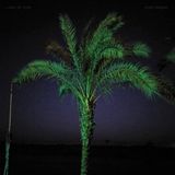 Konkurrent Land Of Kush - Sand Enigma (CD)