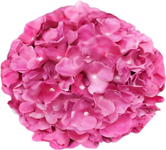 Buitengewoon Boet Buitengewoon de Boet Kunst hortensia tak roze 92 cm