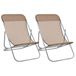 VidaXL Chaise de jardin extérieur acier taupe