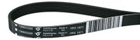 Merkloos Icecat Ribbelriem 1971 H7 voor Wasdroger