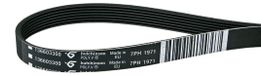 Merkloos Icecat Ribbelriem 1971 H7 voor Wasdroger