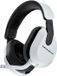 Turtle Beach Stealth 600 PS (Generatie 3) Gaming Headset
