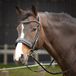 Harry's Horse Kaptoom hoofdstel Leder Comfort Zwart Maat Pony