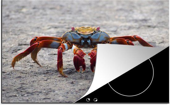 KitchenYeah® Inductie beschermer 77x51 cm - Strand - Dieren - Krab - Inductie kookplaat accessoire