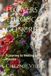 Flowers Through Concrete: A journey to healing after trauma