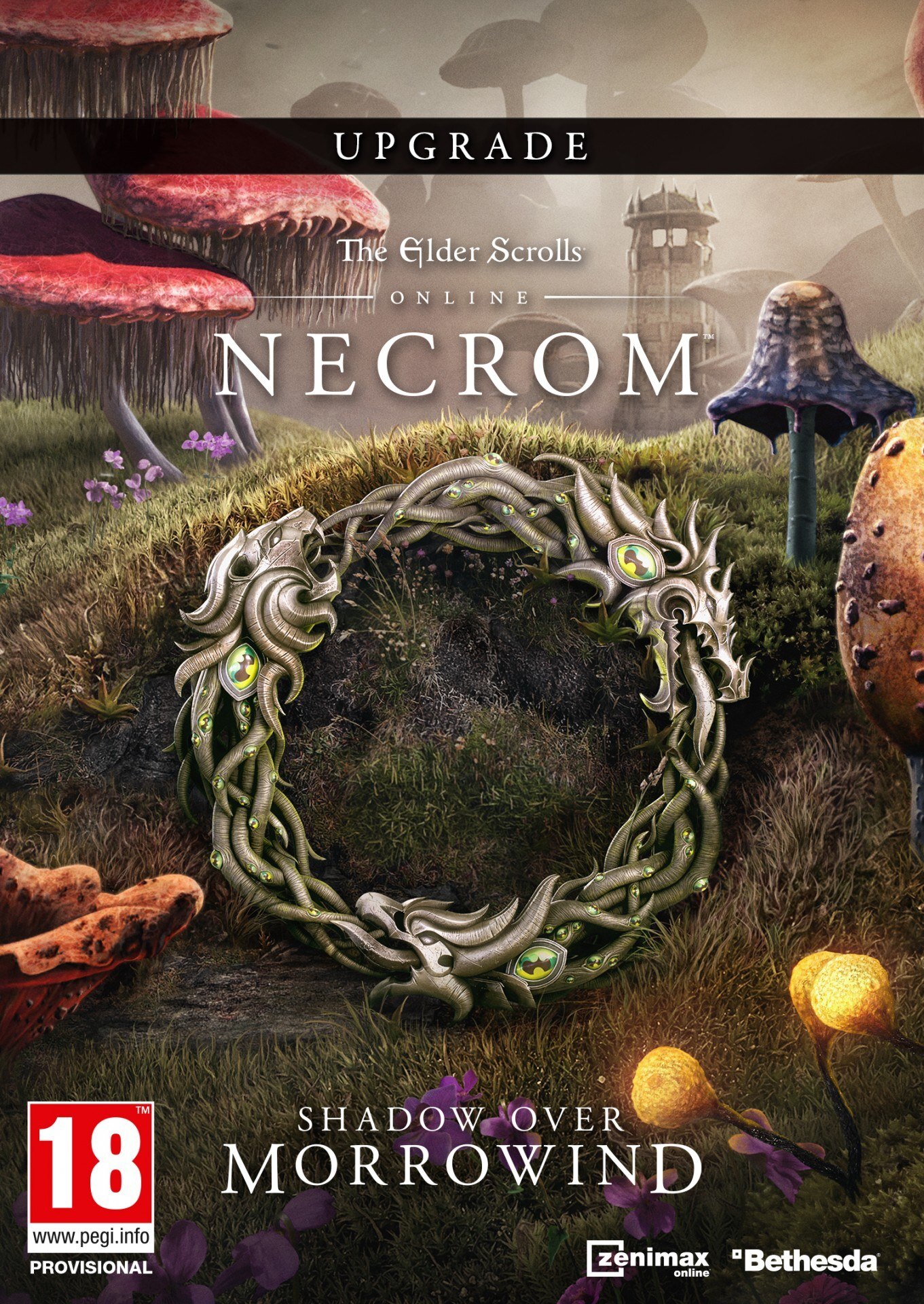 Bethesda The Elder Scrolls Online Upgrade: Necrom - PC