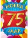 Bellatio Decorations Verjaardag deurposter - 75 jaar - multi - 59 x 84 cm