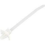 TRU COMPONENTS TC-13030680 TC-WM-100-4.8-N Serre-tête 100 mm 4.8 mm Naturel Avec fermeture à ailettes, Résistance chimique 100 pièce(s)