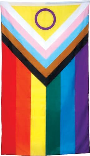 FIESTAS GUIRCA Inclusief regenboogvlag (90 x 150 cm) – feestdecoratie voor feestjes en feesten van diversiteit en trots – ideaal voor inclusief evenementen – meerkleurig