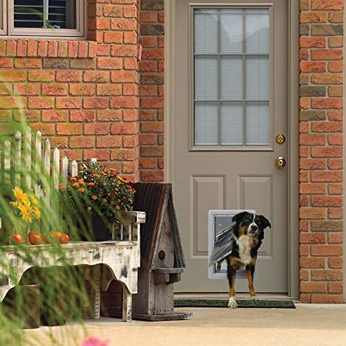 Designer Series Ruff-Weather Pet Door with Telescoping Frame, Medium - Gray