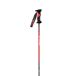 Vola bâtons de ski Vola SL Carbon