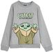Cerda Star Wars The Mandalorian Cotton Brushed Grogu Sweatshirt Grijs 10 Jaar Kinderen