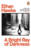 A Bright Ray of Darkness: A novel