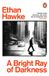 A Bright Ray of Darkness: A novel