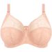 Elomi MORGAN dames Beha - CAMEO ROSE - Maat 85O