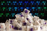 Glorious PC Kailh Pro Purple Switches (120 stuks)