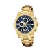 Festina F20705/5 Heren Horloge - Chronograaf - Mineraalglas - Roestvrijstaal/Leer - Quartz - Gesp - 10 ATM (zwemmen)