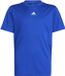 ADIDAS - Train Essentials Logo Regular Fit T-shirt Junior uniseks-kind T-Shirt Blauw