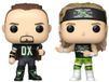 Funko Pop! WWE - New Age Outlaws: 'Road Dogg' Jesse James & Billy Gunn 2 Pack