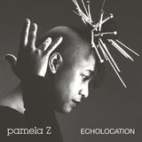 Echolocation Pamela Z - Echolocation (LP) (Limited Edition)