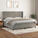 vidaXL Boxspringbed met matras, fluweel, lichtgrijs, 200x200 cm