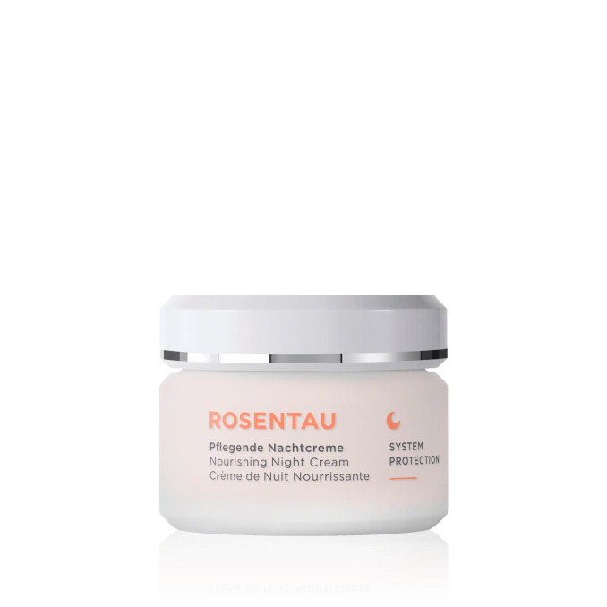 Annemarie Börlind Rose Dew Nourishing Night Cream 50ml - Dames
